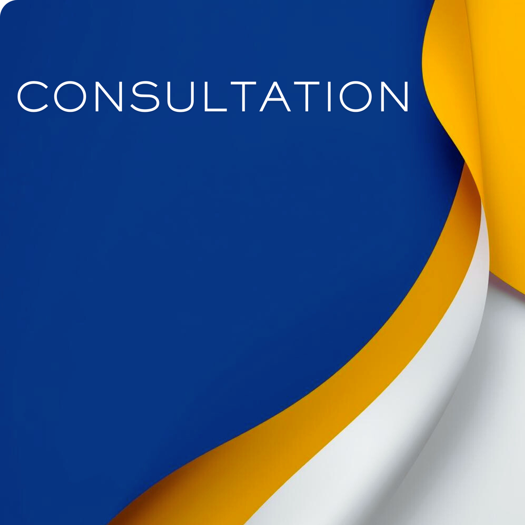 Business / Investor / Entrepreneur Consultation