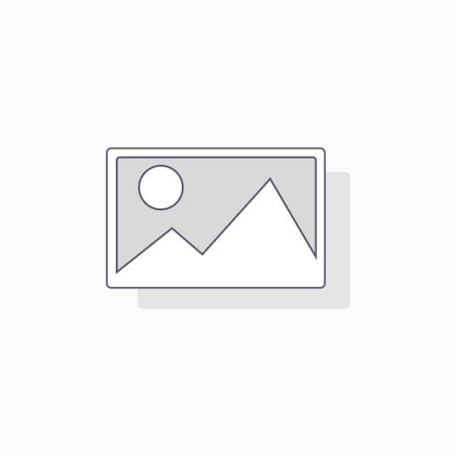 Consulting  Services